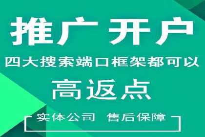 某品牌SEM广告投放的ROI提升案例