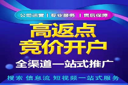 房地产行业SEM推广策略及成果展示